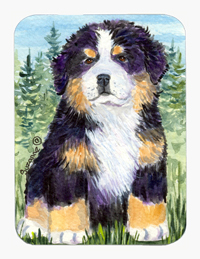 Bernese Mountain Dog Mouse Pad
