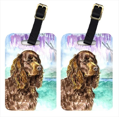 Picture of Carolines Treasures 7008BT Pair Of 2 American Water Spaniel Luggage Tags