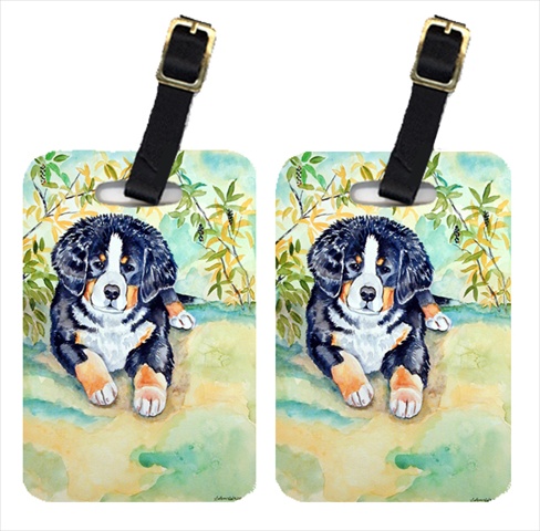 Picture of Carolines Treasures 7010BT Pair Of 2 Bernese Mountain Dog Puppy Luggage Tags