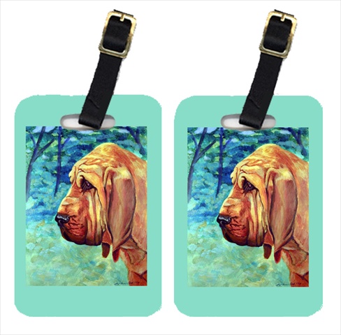 Picture of Carolines Treasures 7013BT Pair Of 2 Bloodhound Thoughtful Luggage Tags