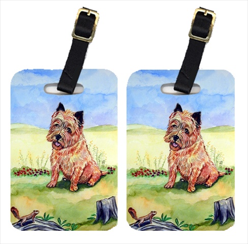 Picture of Carolines Treasures 7017BT Pair Of 2 Cairn Terrier And The Chipmunk Luggage Tags