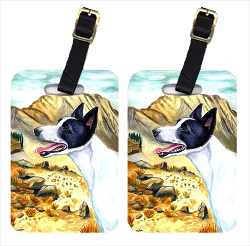 Picture of Carolines Treasures 7018BT Pair Of 2 Canaan Dog Luggage Tags
