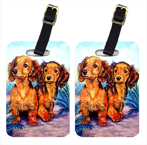 Picture of Carolines Treasures 7022BT Long Hair Red Dachshund Luggage Tags&#44; Pack - 2
