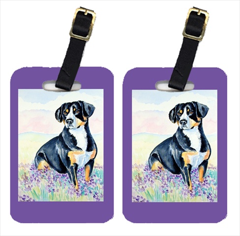 Picture of Carolines Treasures 7030BT Entlebucher Mountain Dog Luggage Tags- Pack - 2