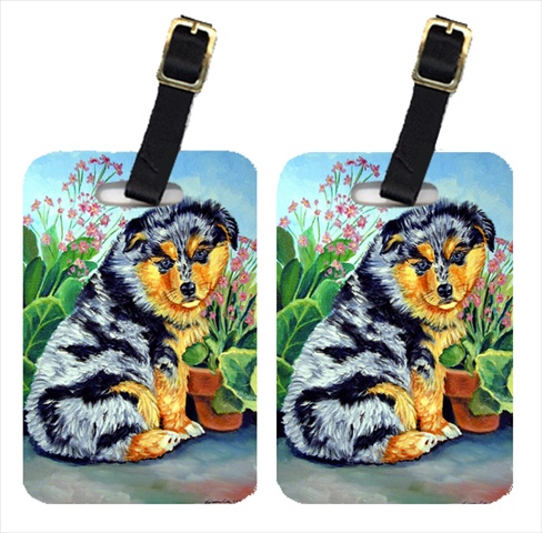 Australian Shepherd Puppy Luggage Tags- Pack - 2