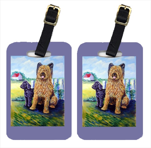7092BT Briard Training Day For The Puppy Luggage Tags- Pack - 2