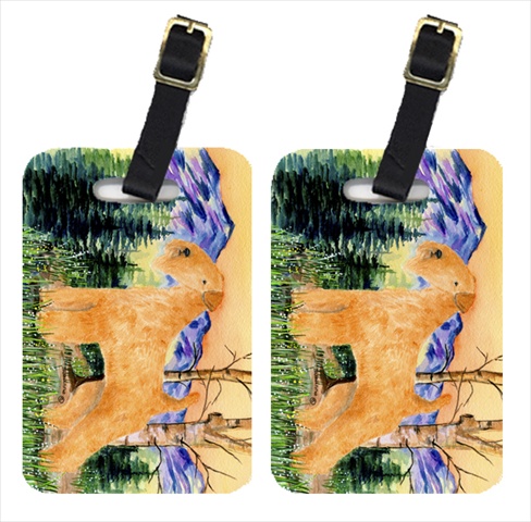Lakeland Terrier Luggage Tags