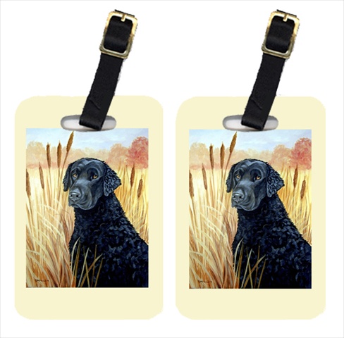 Curly Coated Retriever Luggage Tags- Pack - 2