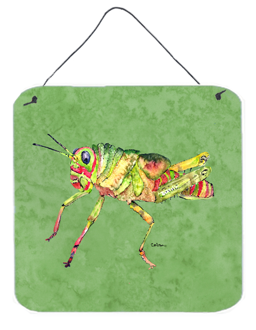 Grasshopper On Avacado Aluminium Metal Wall Or Door Hanging Prints