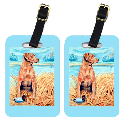 Chesapeake Bay Retriever Luggage Tags- Pack - 2