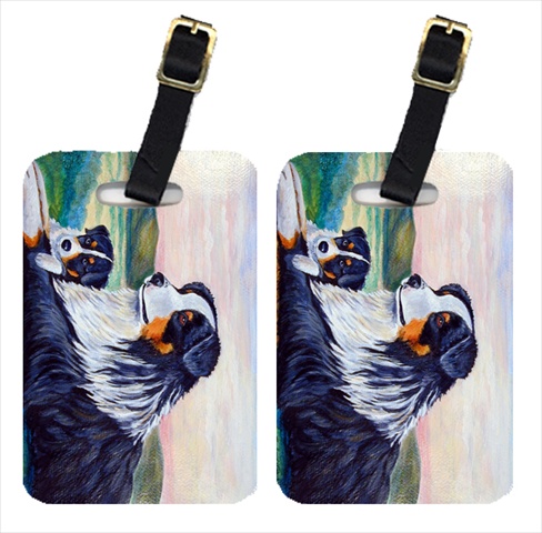 Australian Shepherd Luggage Tags- Pack - 2