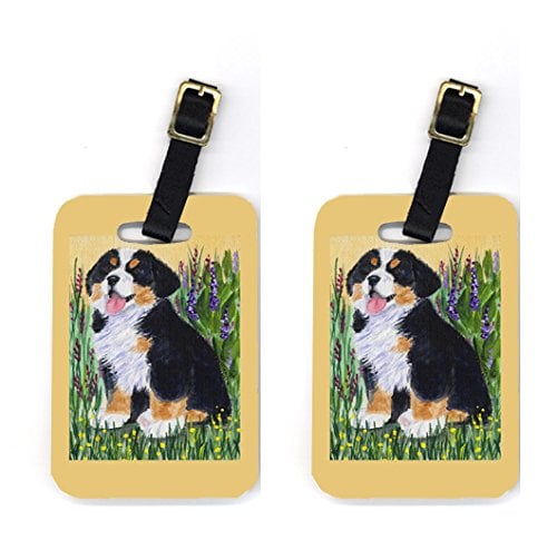 Bernese Mountain Dog Luggage Tags- Pack - 2