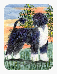Portuguese Water Dog Mouse Pad & Hot Pad Or Trivet