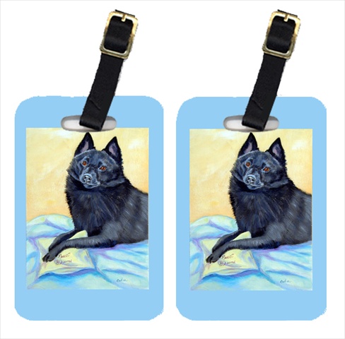 Schipperke Sweet Dreams Luggage Tags- Pack - 2