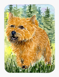 Norwich Terrier Mouse Pad & Hot Pad & Trivet