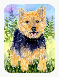SS8894MP Norwich Terrier Mouse Pad & Hot Pad & Trivet