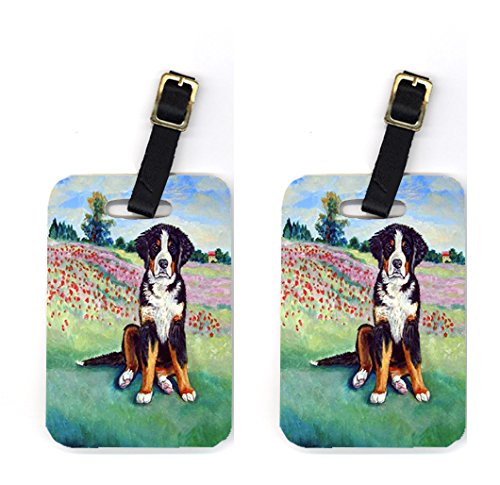 Picture of Carolines Treasures 7011BT Pair of 2 Bernese Mountain Dog Luggage Tags