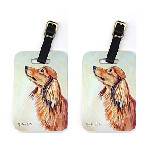 Pair of 2 Dachshund Luggage Tags - Dachshund