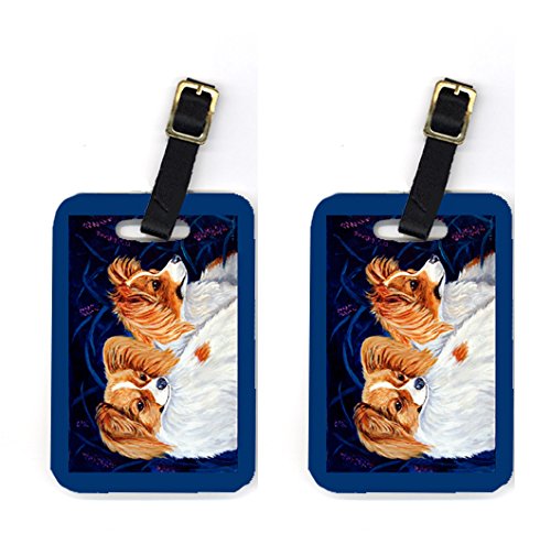 7241BT Pair of 2 Papillon Luggage Tags