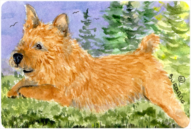 Norwich Terrier Mouse pad, hot pad, or trivet
