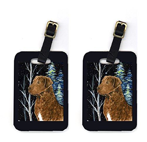 Pair of 2 Starry Night Chesapeake Bay Retriever Luggage Tags