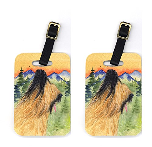 Pair of 2 Briard Luggage Tags