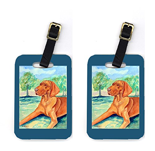 Pair of 2 Vizsla Luggage Tags