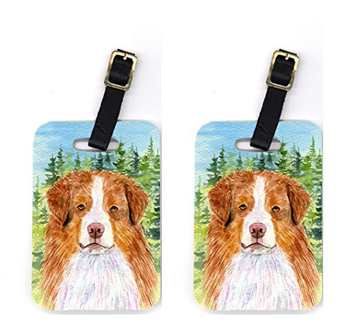 Pair of 2 Australian Shepherd Luggage Tags