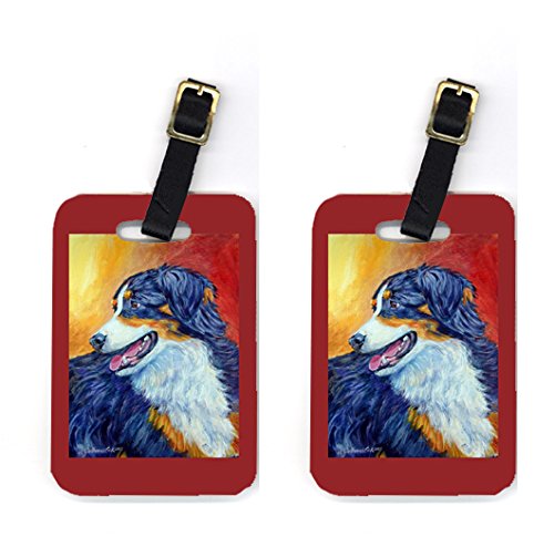 Pair of 2 Australian Shepherd Luggage Tags