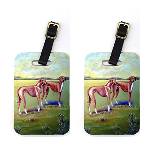 Picture of Carolines Treasures 7001BT Pair of 2 Azawakh Hound Luggage Tags