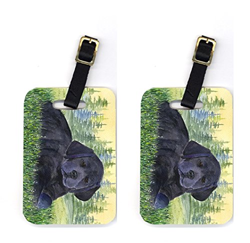 Pair of 2 Labrador Luggage Tags