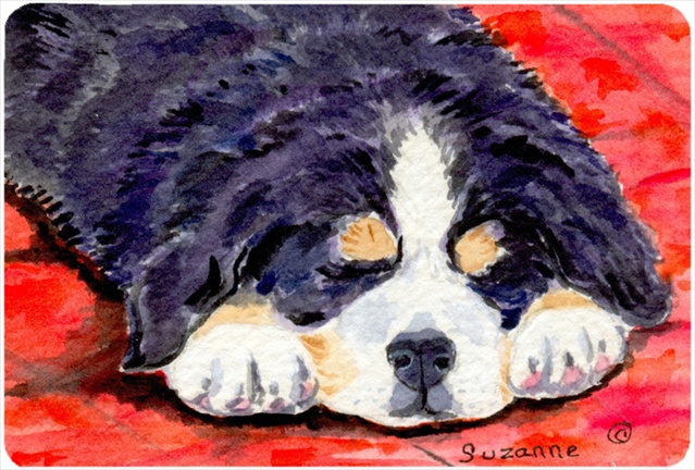 Bernese Mountain Dog Mouse pad, hot pad, or trivet