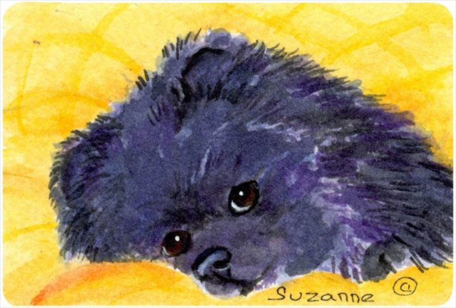 Pomeranian Mouse pad, hot pad, or trivet