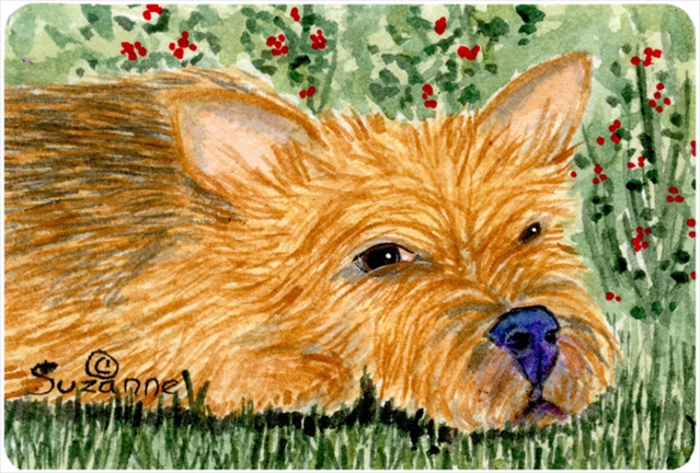 9.25 x 7.75 in. Norwich Terrier Mouse Pad, Hot Pad, or Trivet
