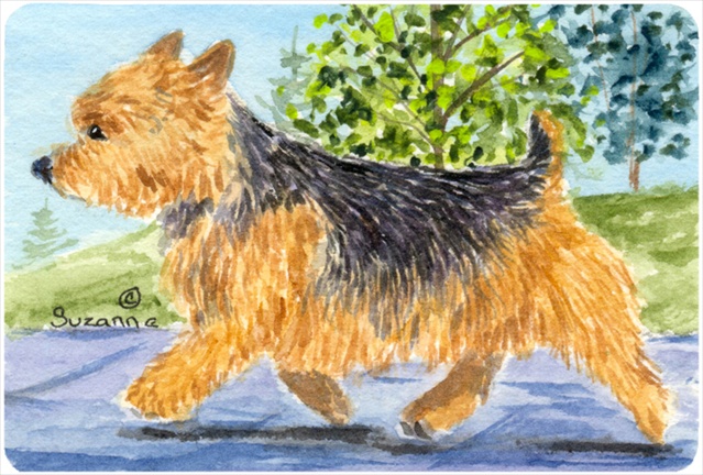 9.25 x 7.75 in. Norwich Terrier Mouse Pad, Hot Pad, or Trivet