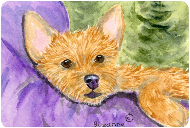 9.25 x 7.75 in. Norwich Terrier Mouse Pad, Hot Pad, or Trivet