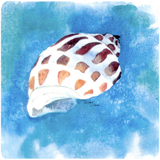 Shells Foam Coasters - Set 4