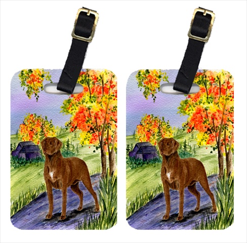 Chesapeake Bay Retriever Luggage Tags - Pair Of 2