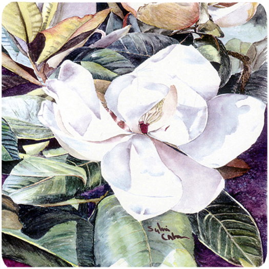 Picture of Carolines Treasures 8002FC Flower - Magnolia Foam Coasters - Set 4
