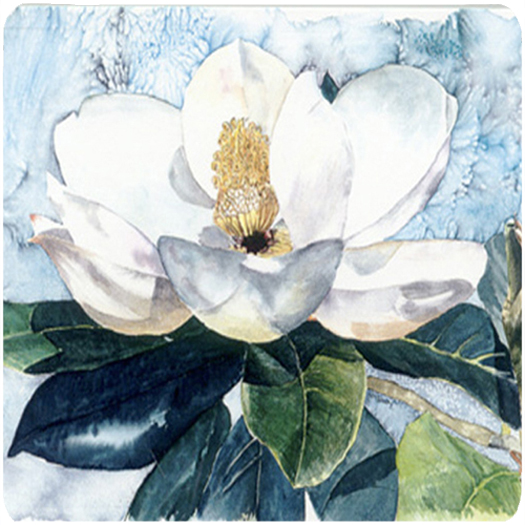 Picture of Carolines Treasures 8003FC Flower - Magnolia Foam Coasters - Set 4