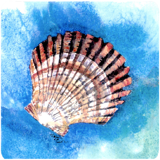 Shells Foam Coasters - Set 4