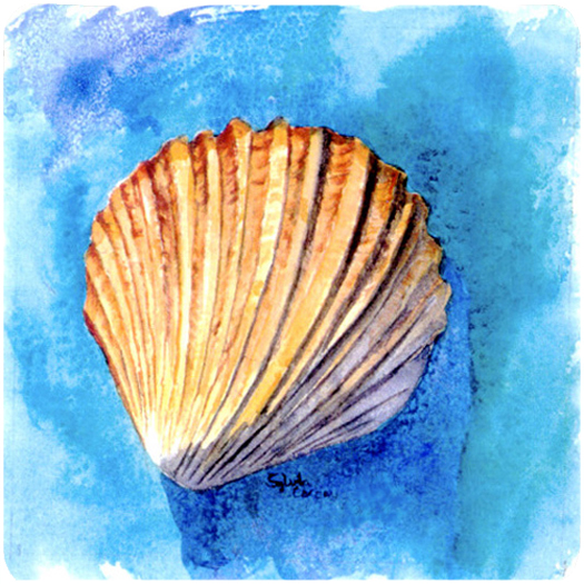 8009FC Shells Foam Coasters - Set 4