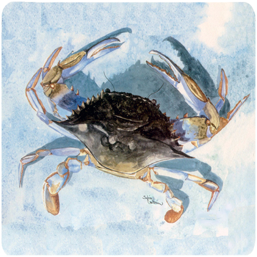 Crab Foam Coasters - Set 4