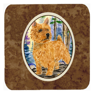 SS8011FC Norwich Terrier Foam Coasters - Set 4