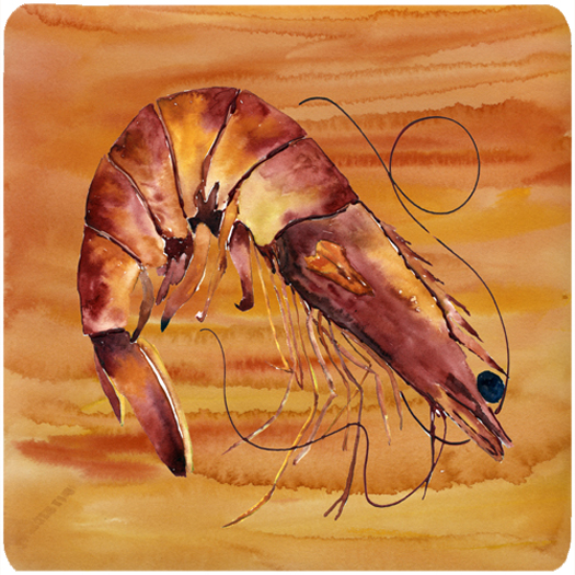 Shrimp Foam Coasters - Set 4