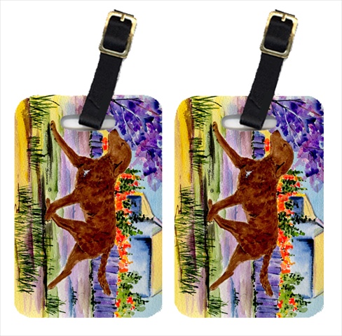 Chesapeake Bay Retriever Luggage Tags - Pair Of 2