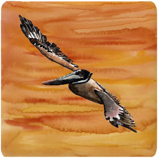 Bird - Pelican Foam Coasters - Set 4