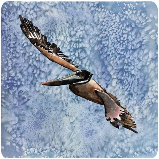 Bird - Pelican Foam Coasters - Set 4