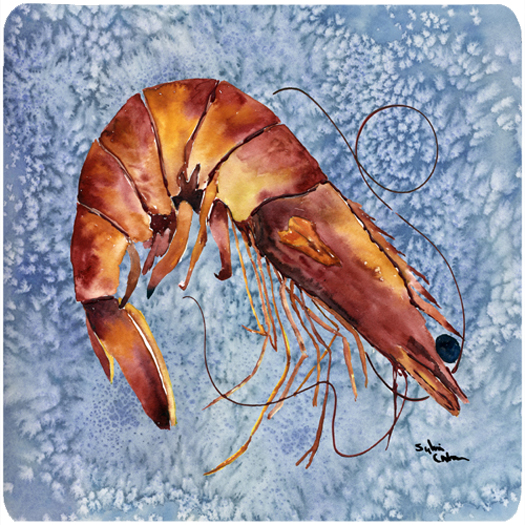 Picture of Carolines Treasures 8153FC Shrimp Foam Coasters - Set 4