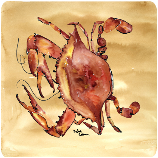 Picture of Carolines Treasures 8154FC Crab Foam Coasters - Set 4